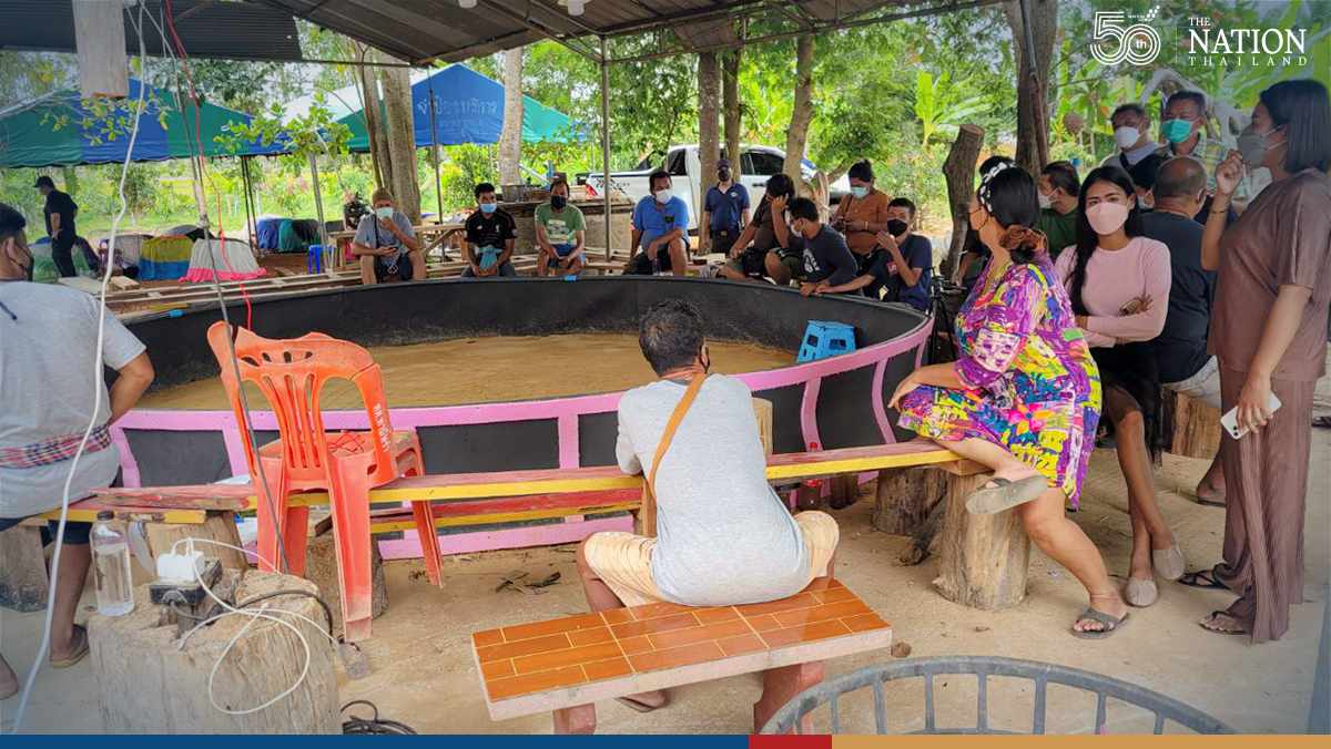 Police nabbed 10 out of some 100 gamblers during a raid on a cockfighting stadium in Phatthalung's Muang district on Monday