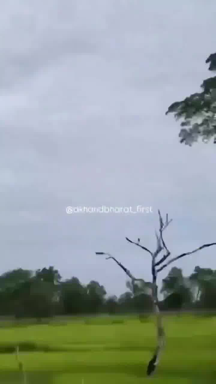 Footage showing a BM-21 Grad Multiple-Launch Rocket System (MLRS) with the Royal Cambodian Army firing this morning against position of the Thai Army on the border between Cambodia and Thailand